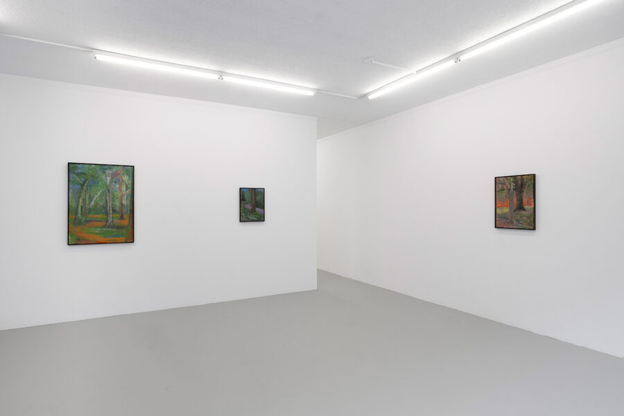 Three landscape paintings of forests hanging on the white walls of a minimalist art gallery.