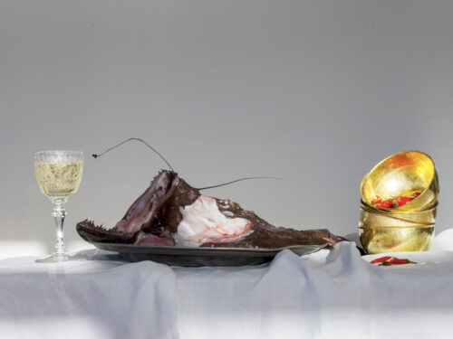 Stillleben mit einem rohen Tintenfisch auf einer Platte, einem Glas Sekt und goldenen Schalen.