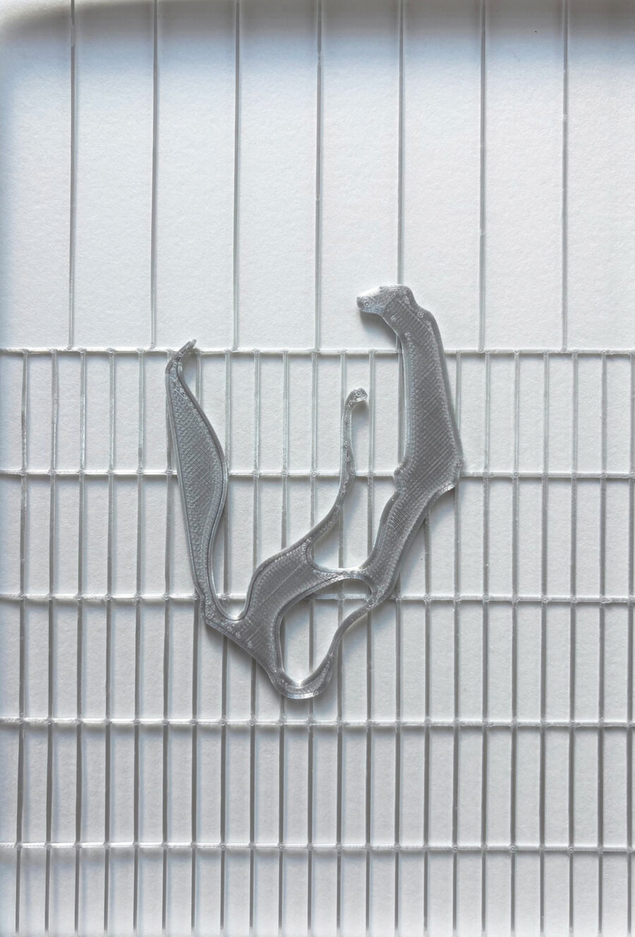 A translucent 3D-printed organic shape resting on a white grid surface.