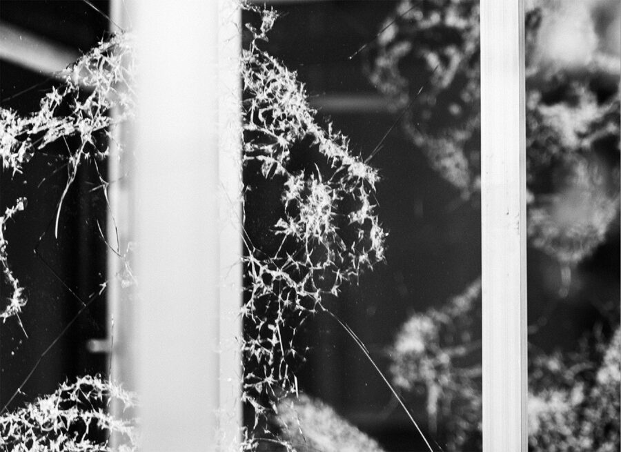 Black and white close-up of intricate, dusty spiderwebs clinging to a window frame.