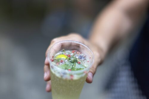 A hand holding a plastic cup filled with a sparkling drink garnished with herbs and berries.