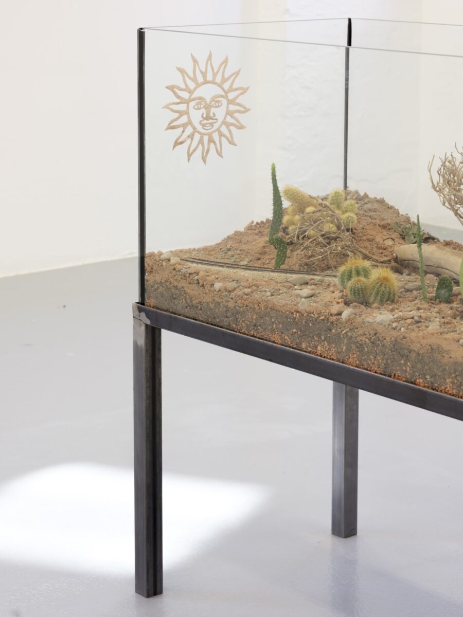 Ein gläsernes Terrarium mit Kakteen in Sand auf einem Metallgestell, beschriftet mit einer Sonne.